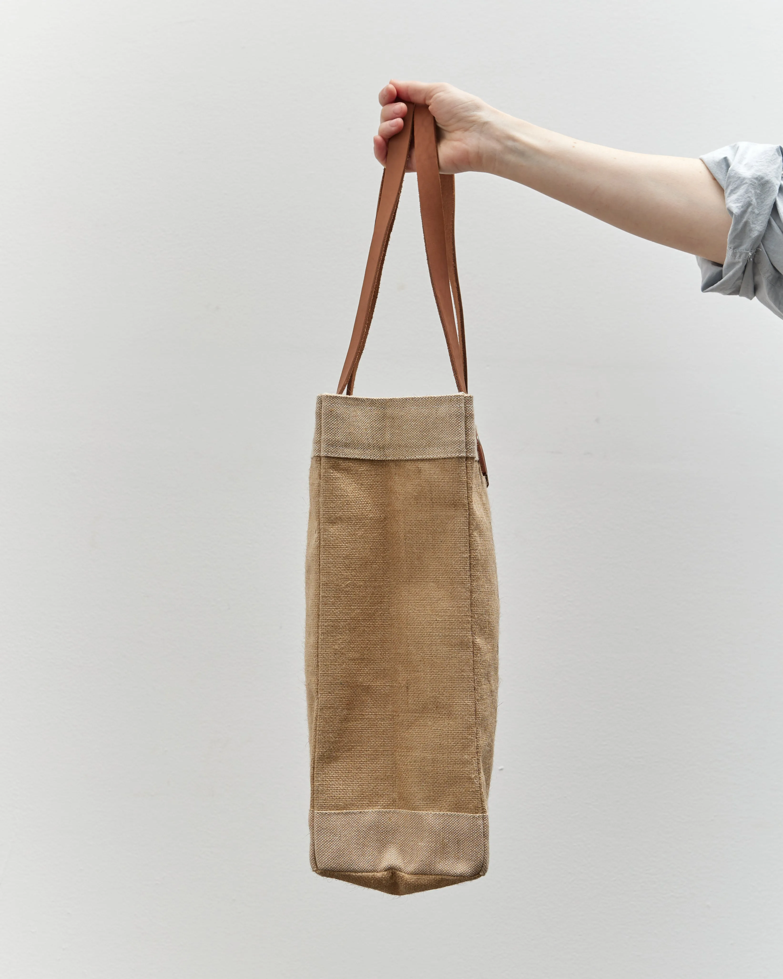 Apolis Glasswing Market Bag